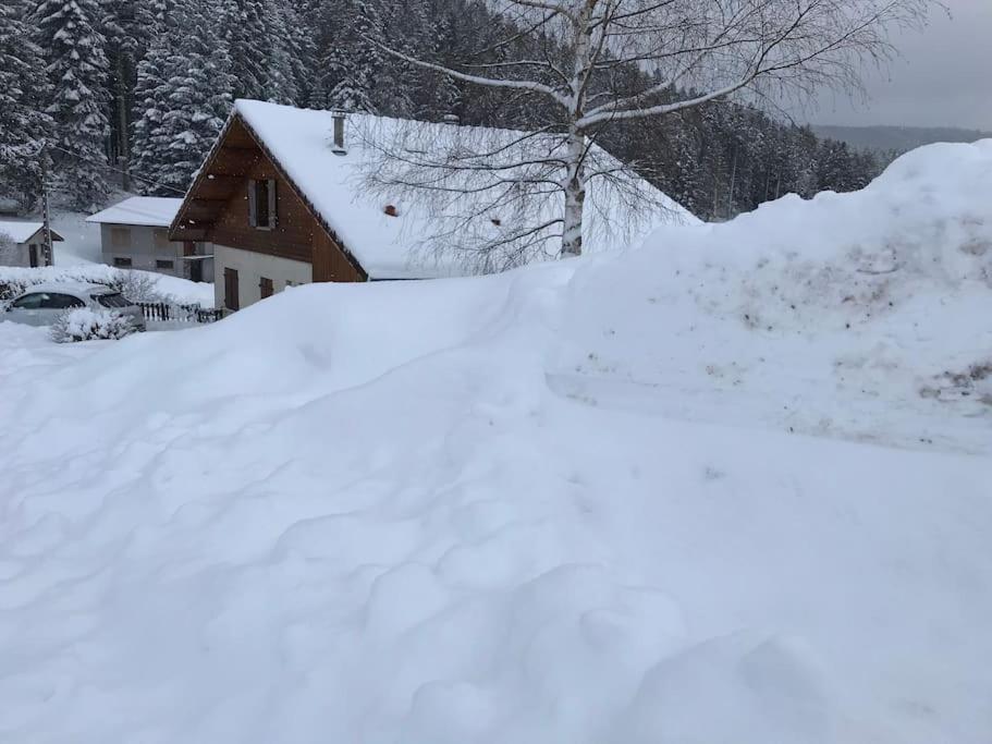 Le Grizzli-3 Chambres- 8 Couchages- Vue Imprenable Le Tholy